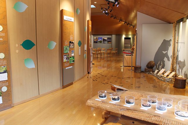 ふしぎと出会う | 森と水の源流館